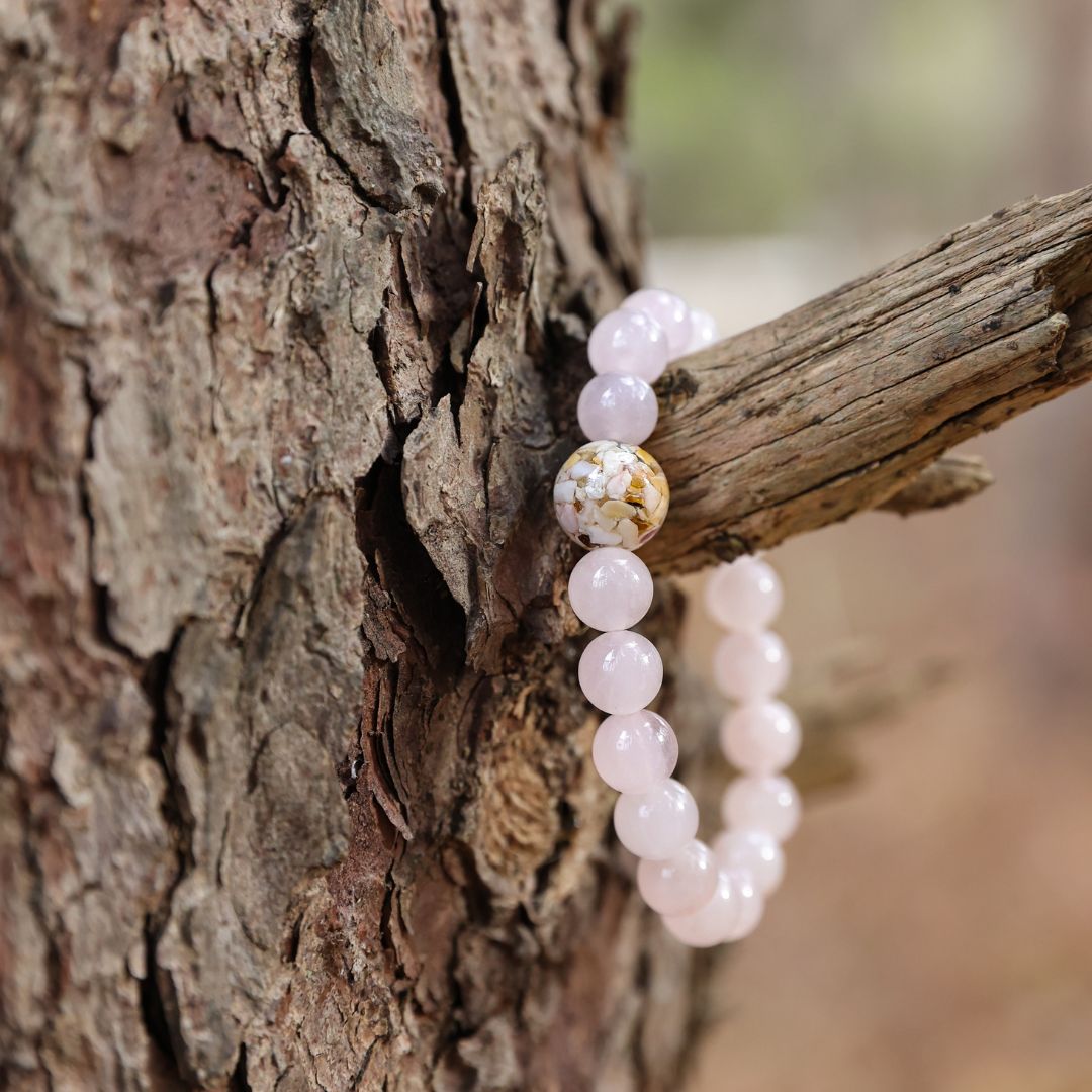 Florida Shells + Rose Quartz