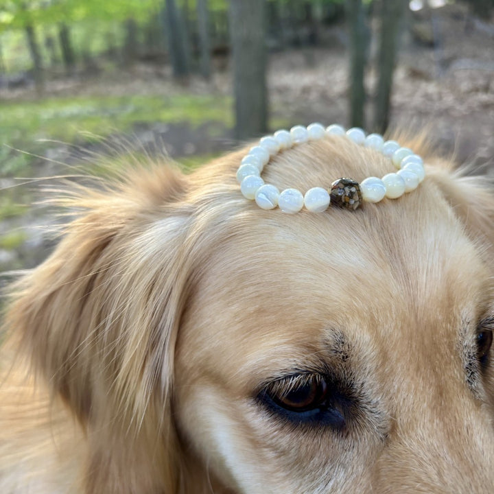 Maryland Stones &amp; Shells + Mother of Pearl