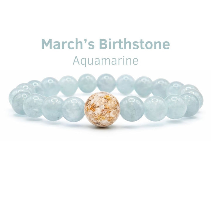 Florida Shells + Aquamarine