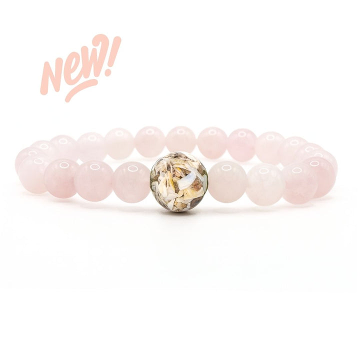 Lake Erie Stones & Shells + Rose Quartz